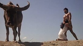 حادث فيديو سكسي مترج ...